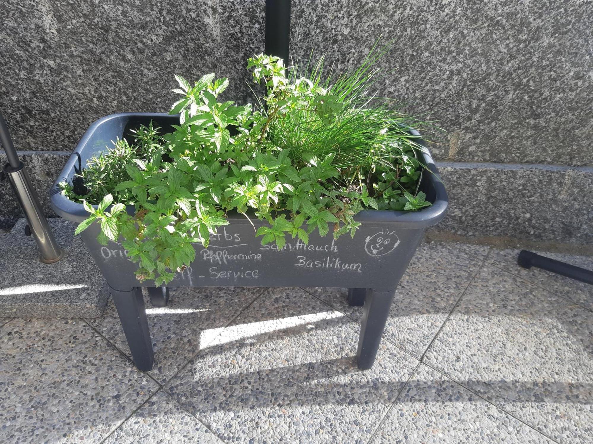 グレヘンRiebe 331アパートメント エクステリア 写真